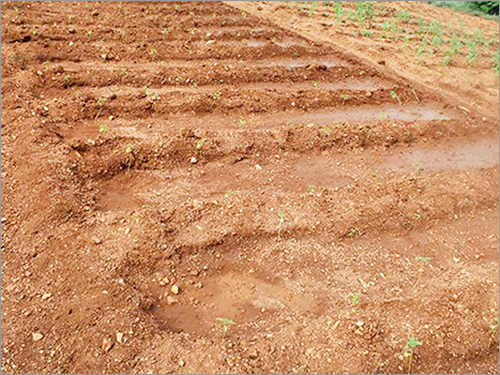 Ground Stage