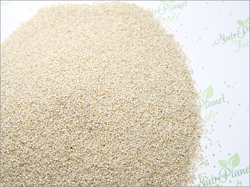 Seed
