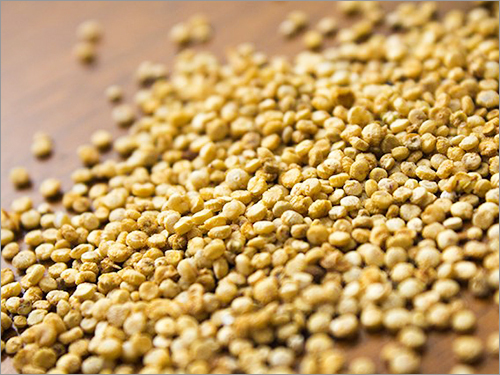 Seeds
