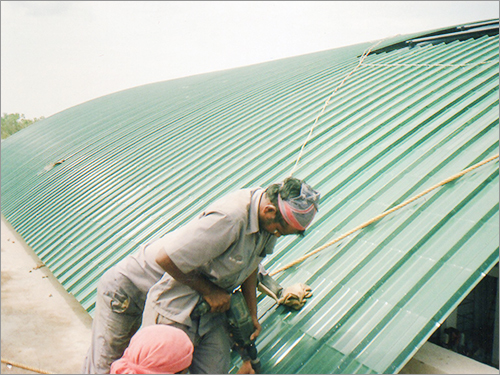 एमएस छतों