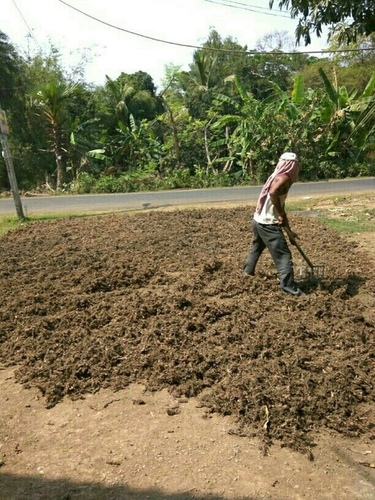 नगर्मोठा