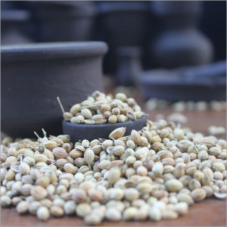 Coriander Seed
