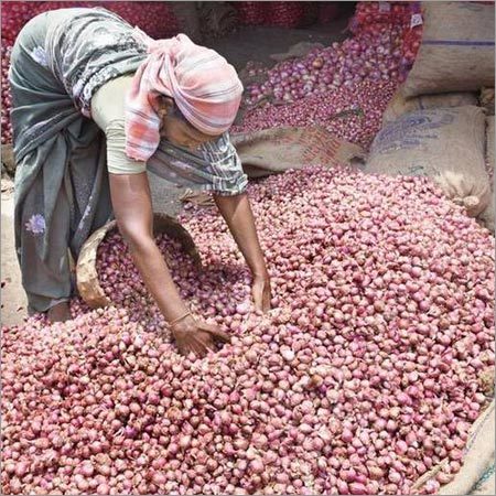 ताज़ा प्याज़