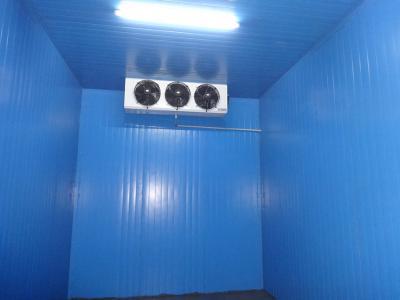 Cold Room