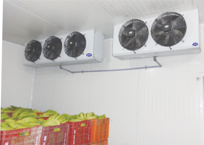 Cold Room