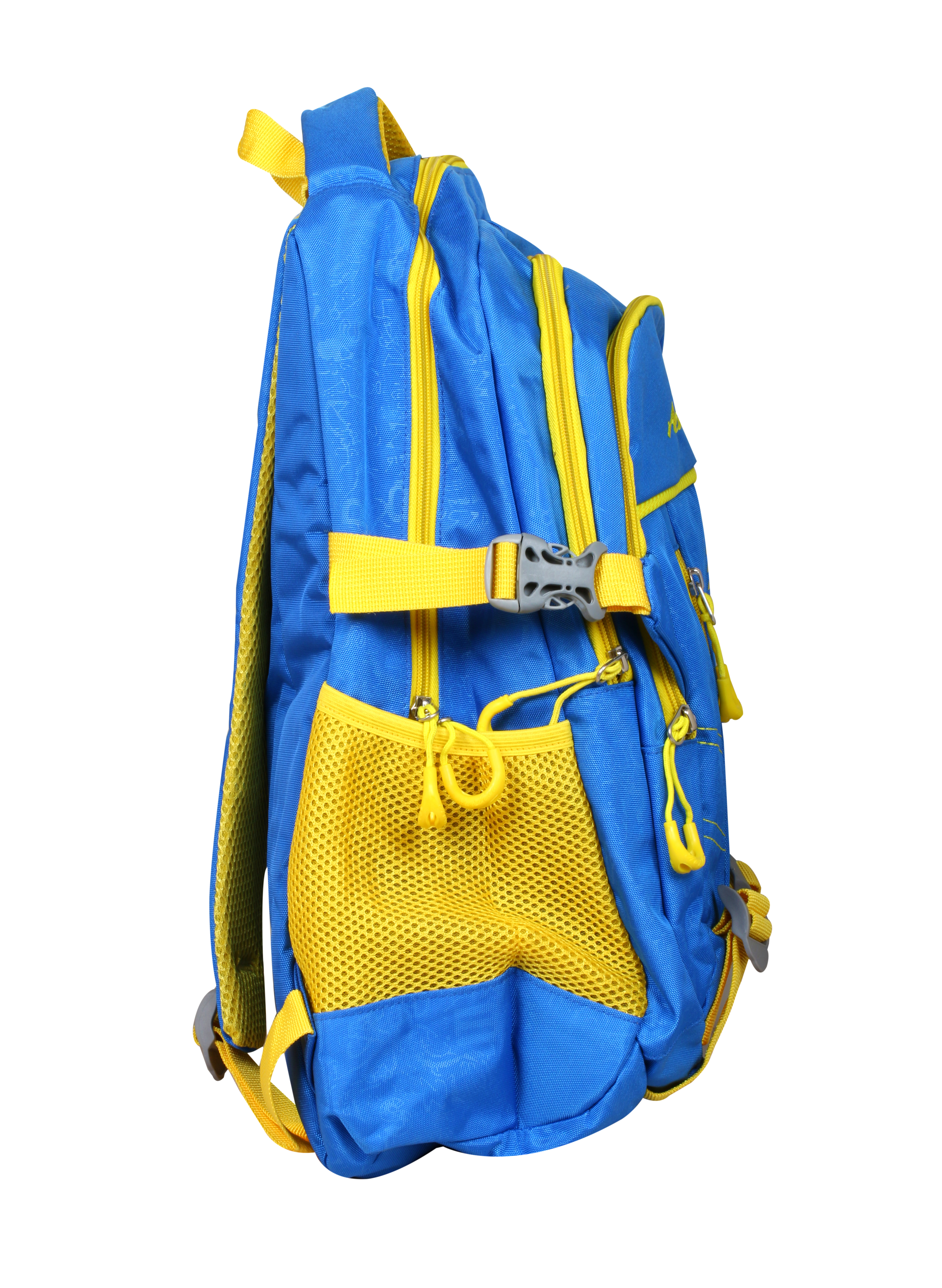 Sky Blue Rulisi School Backpack