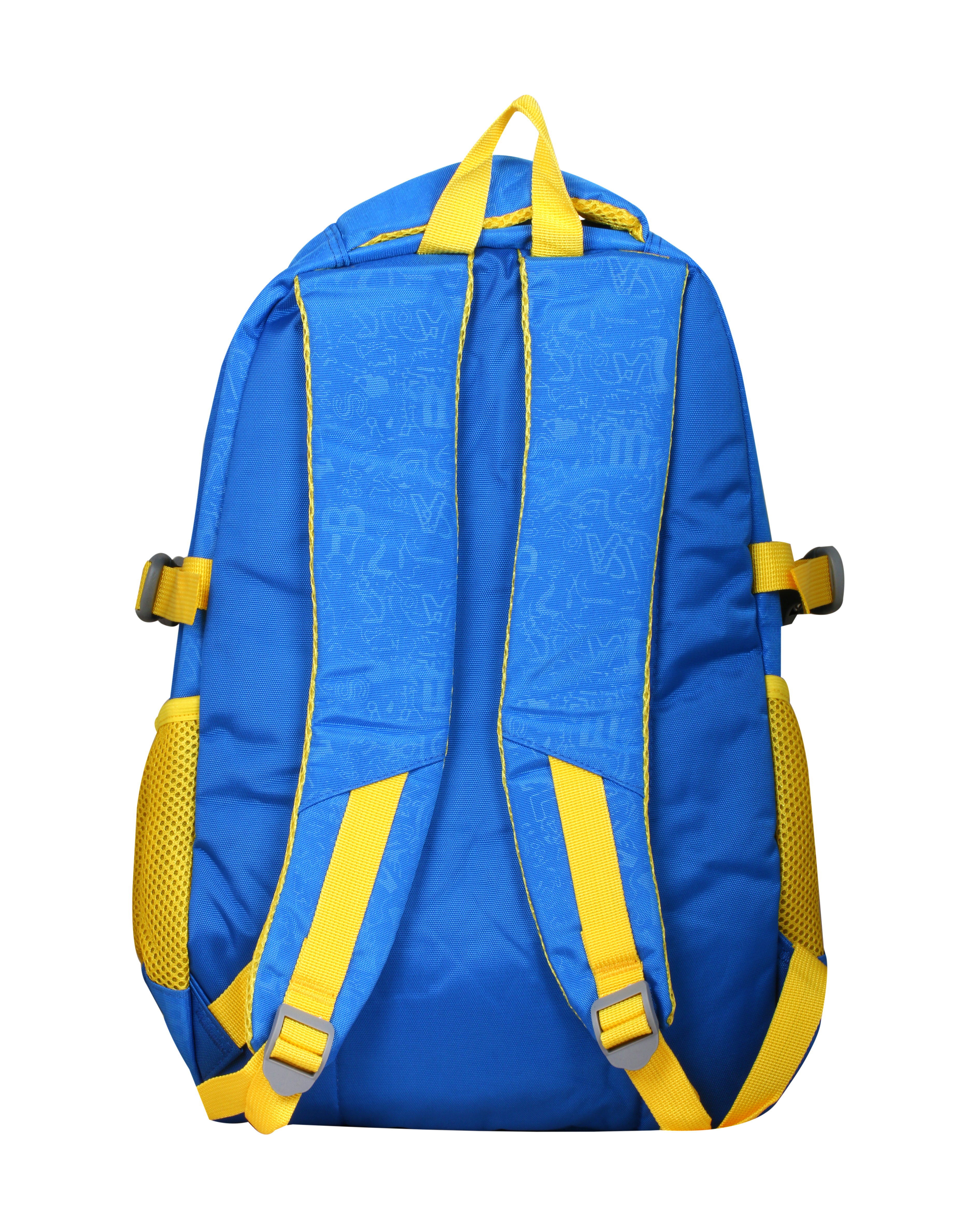 Sky Blue Rulisi School Backpack