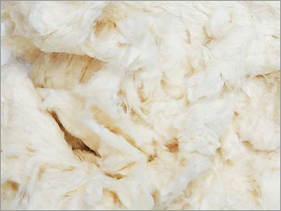 कॉम्बर्स नॉयल