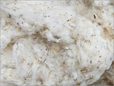 लिकरिंग LD