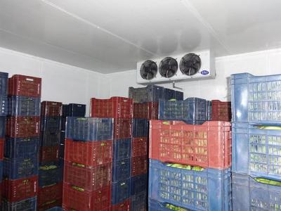 कोल्ड रूम के लिए इवापोरेटर यूनिट 12"X3 फैन