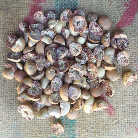 मुख ताजगी देने वाला