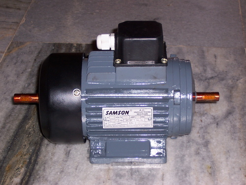 डबल दस्ता मोटर