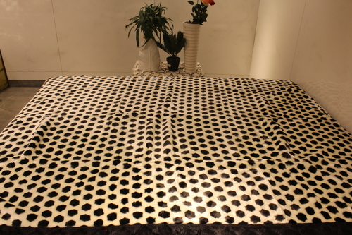 पॉलिएस्टर फीओ