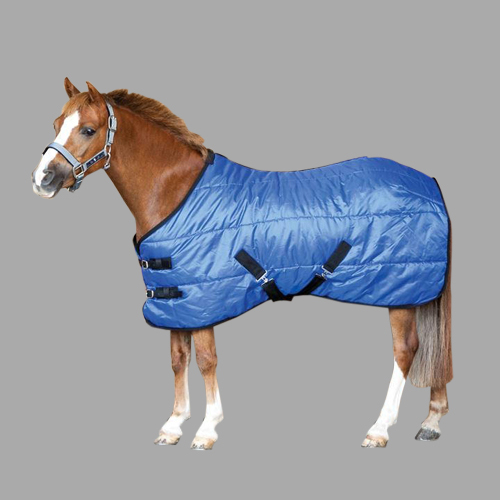 घोड़े का पोनो गधा