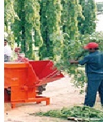 चिपर्स श्रेडर मशीन की क्षमता: 500 किलोग्राम/घंटा