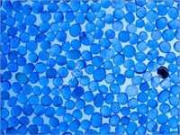 Blue Silica Gel