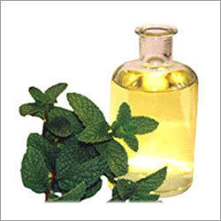 Mentha Arvensis Oil