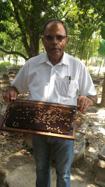 Honey Processing Consultancy Service