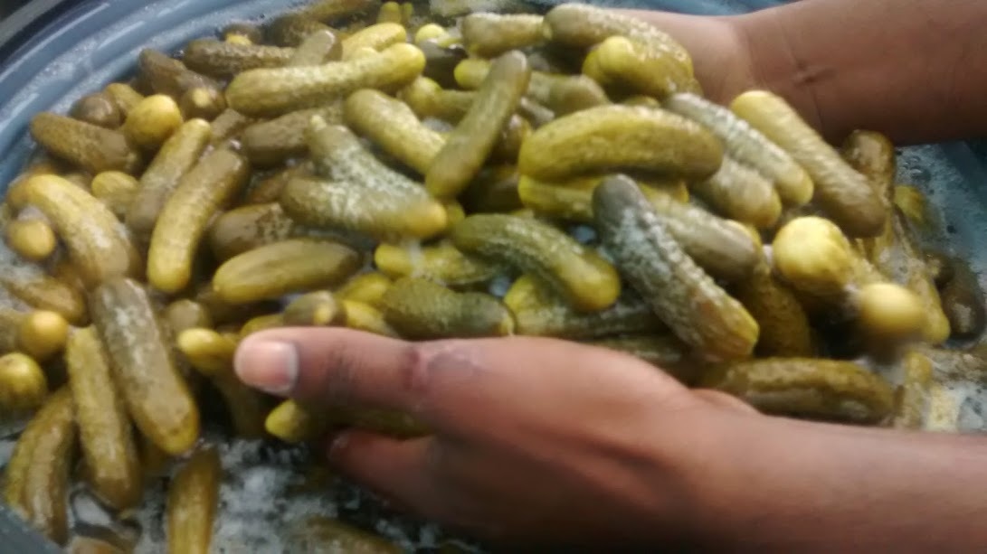 Pickle Making Consultancy