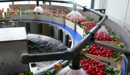 Food Processing Consulting