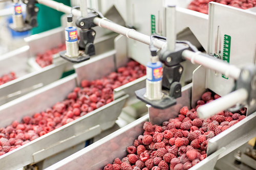 Food Processing Consulting