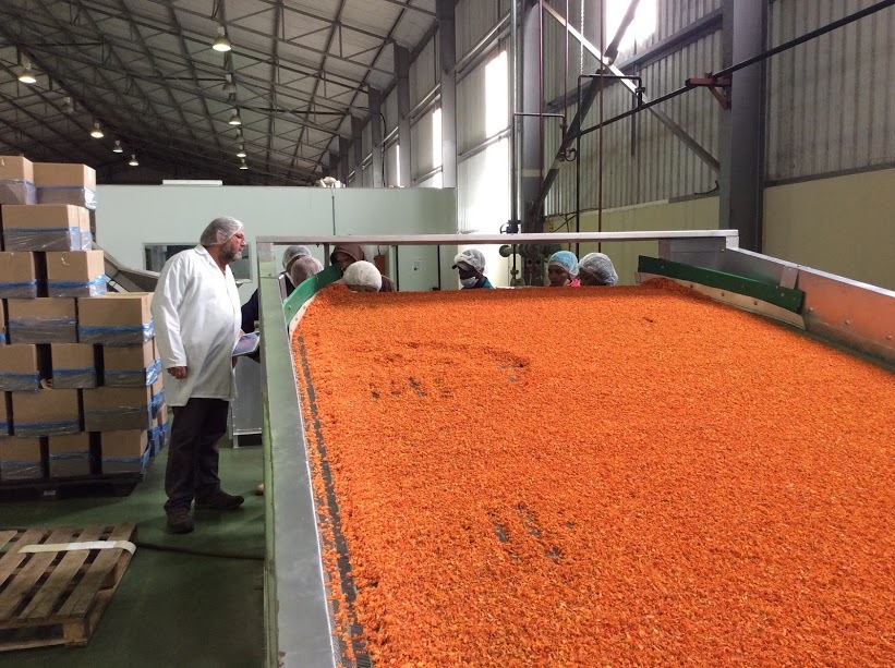 Food Processing Consulting
