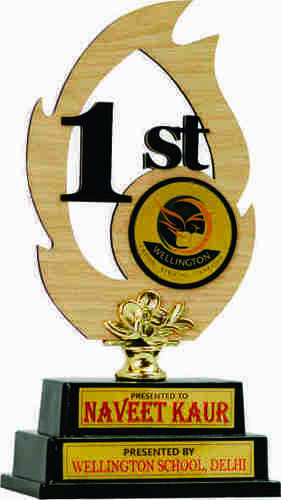 फोक आर्ट प्लास्टिक ट्रॉफी