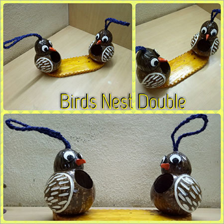 बर्ड्स नेस्ट डबल