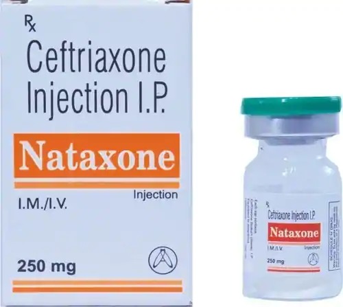 Ceftriaxone Sodium Injection - Liquid Formulation, Intravenous Antibiotic for Bacterial Infections | Low Side Effects, Suitable for Adults, Teenagers, and Elderly