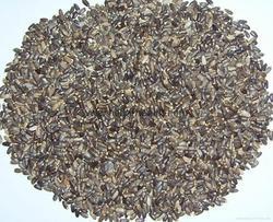 Milk Thistle (80%) (Sylimarin) Extract