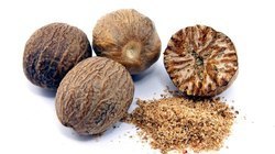 Jaiphal (6:1) Herbal Extract