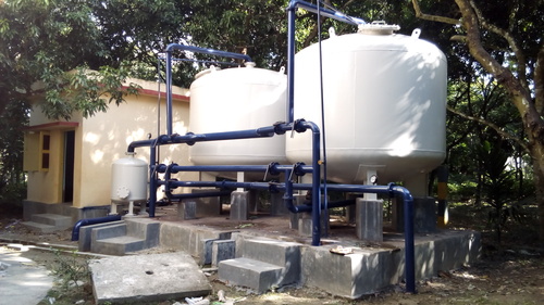 आर्सेनिक हटाने वाला पौधा