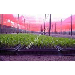 Nursery Shade Nets - HDPE Material, 10-80 Meters Length, 60% Shade Rate | Multi-Application Protection Against Birds, Sunlight, Rain, and Pests