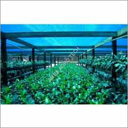 Blue Agriculture Nursery Shade Nets