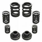 Diesel Engine Springs