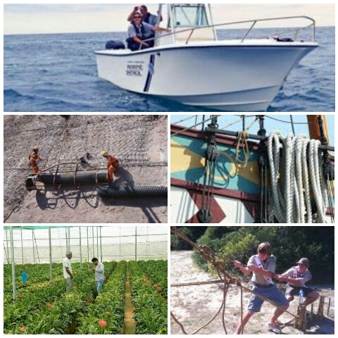 Tpm Black Rope - Polyester Twisted With Varied Diameters And Strengths | Ideal For Agriculture, Marine, Transport, And General Use