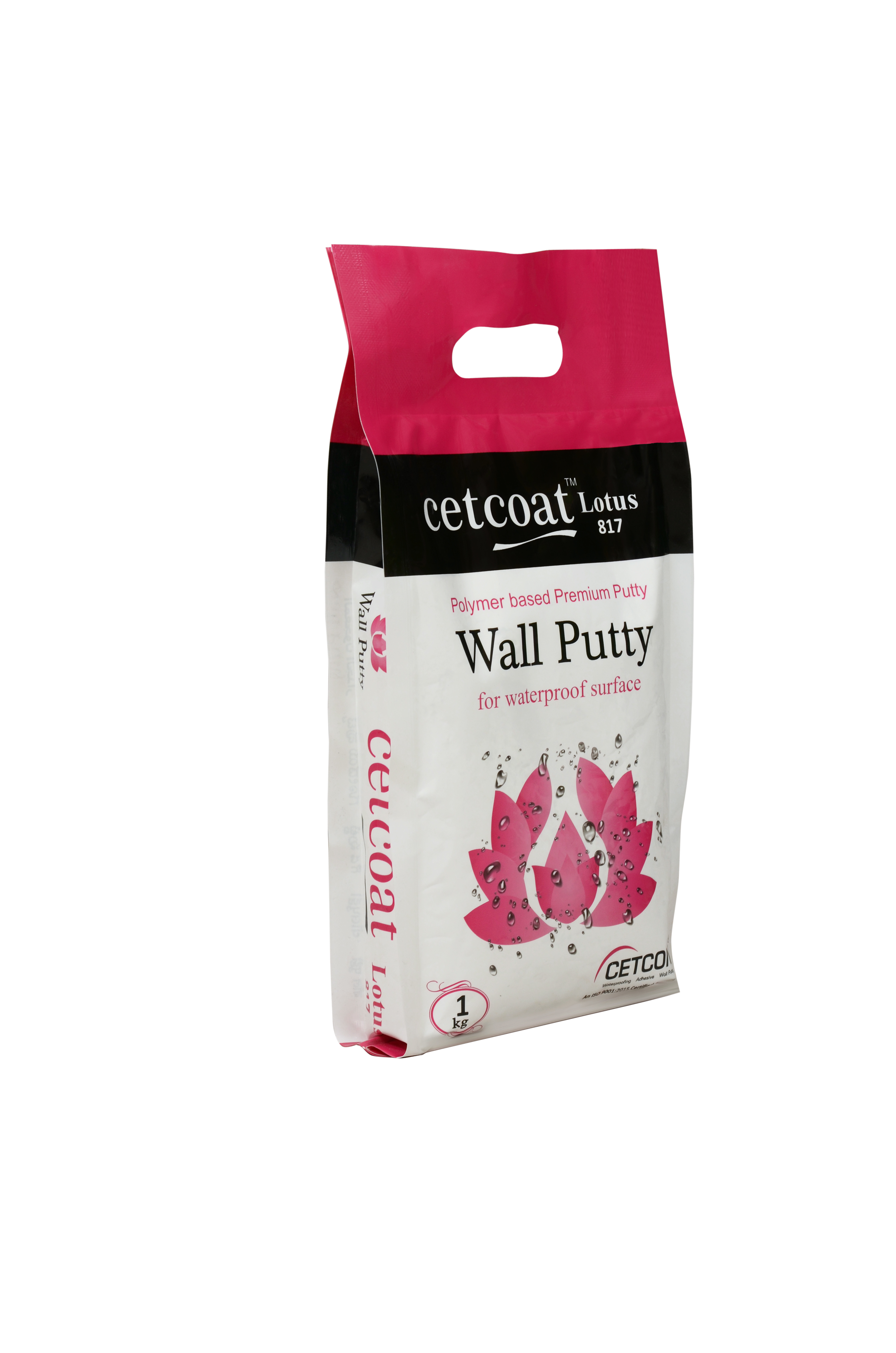 Waterproof Wall Putty