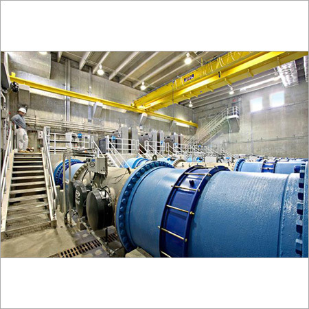 Dm Plant