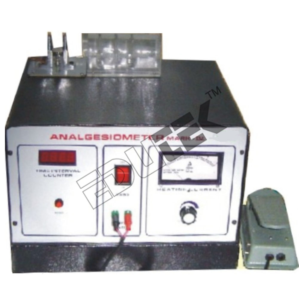 रेडियंट हीट डिजिटल