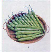 बिक्रम - मिर्च एफ-1 हाईब्रिड बीज