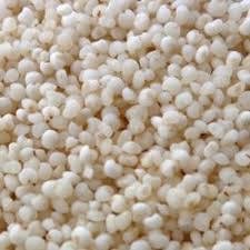 बार्नयार्ड बाजरा