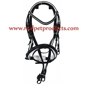 घोड़े के सिर पर लगाने वाले पट्टे