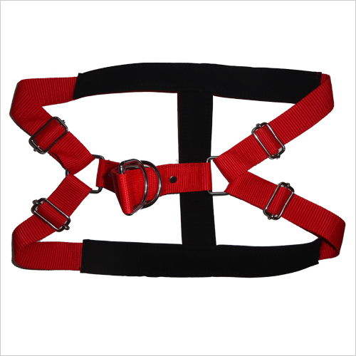 Dog Padded Harness