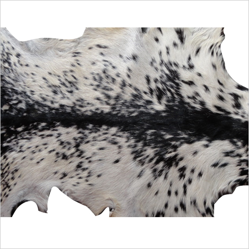 ब्लैक एंड व्हाइट जर्सी पर बकरी के बाल