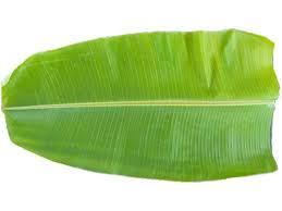 Fresh Banana Leaf