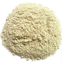 क्रीम मैग्नेसाइट रैमिंग मास