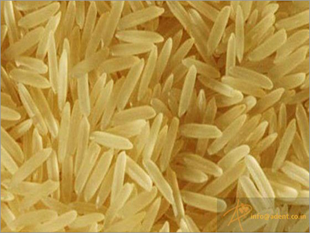 1121 Golden Sella Basmati Rice - Long Grain, Hard Texture | Organic, Adulteration-Free, Aromatic with Unique Taste
