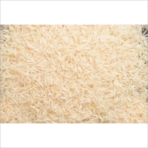 1509 Raw Basmati Rice - Medium Grain, White Color | Organic, Dried, Queen Of Fragrance