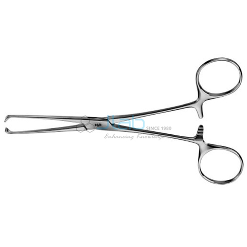 Allis Tissue Forcep By Jain Laboratory Instruments Private Limited