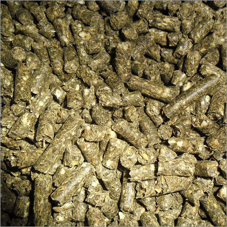 सूरजमुखी का केक